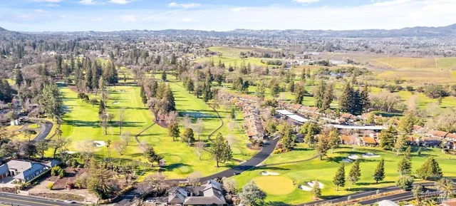 a view of a yard with plants and large trees