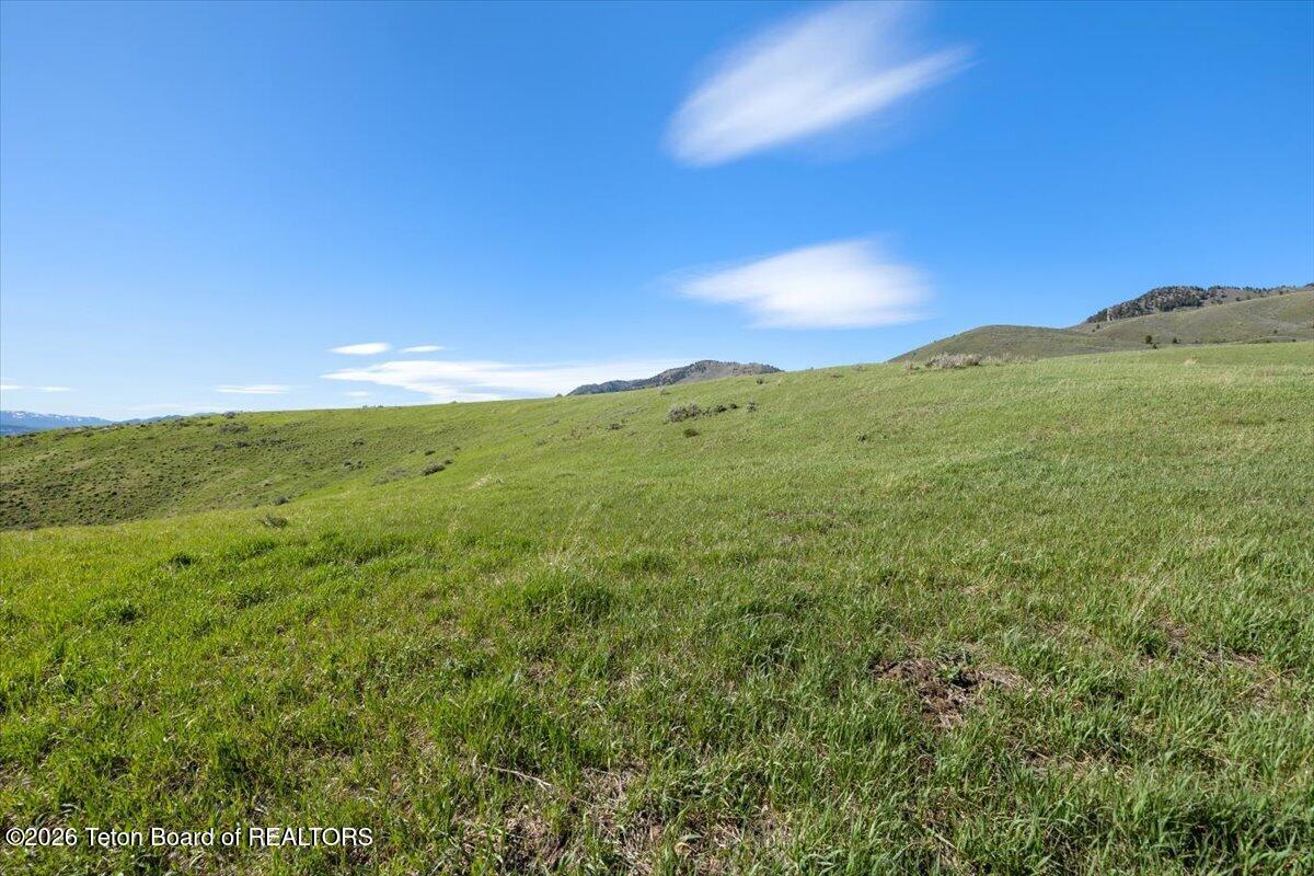 7650 South Squaw Creek Road Jackson, WY 83001 - Photo 9 of 17 7650 Squaw Creek Rd