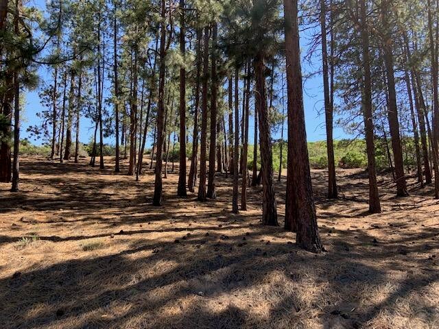 19193 Kiowa Road Bend, OR 97702 - Photo 24 of 25 IMG_1635