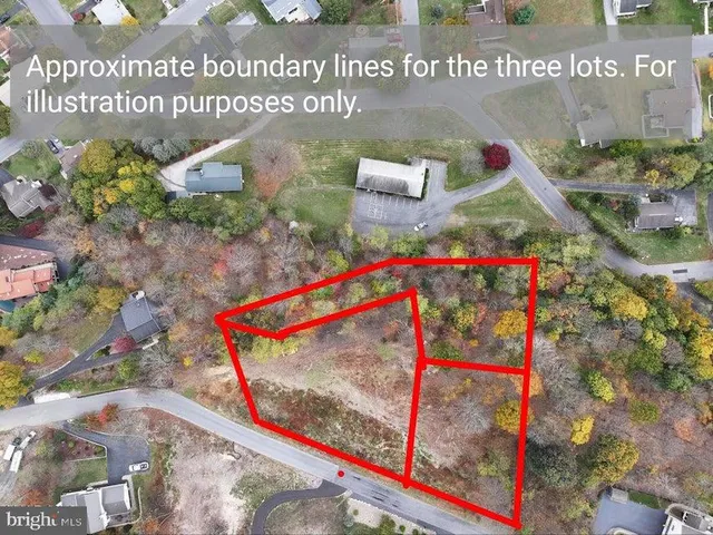 a close up of a plant in a garden