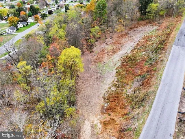a view of a yard with trees