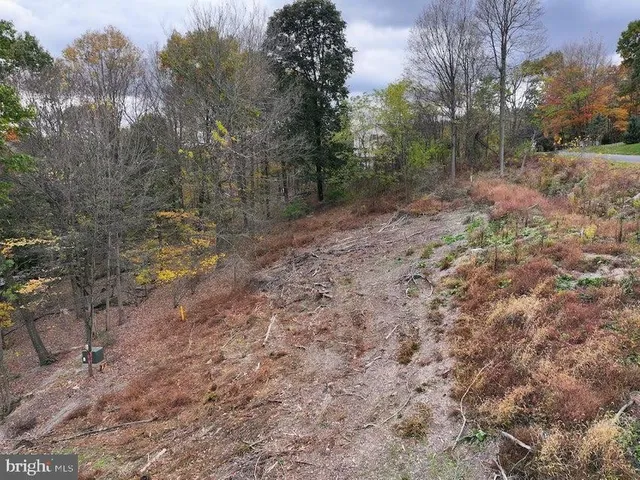 a view of a forest with a house and a forest