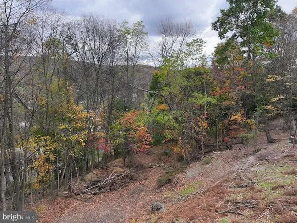 a view of a dry yard