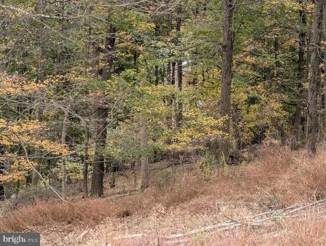 a view of a swimming pool