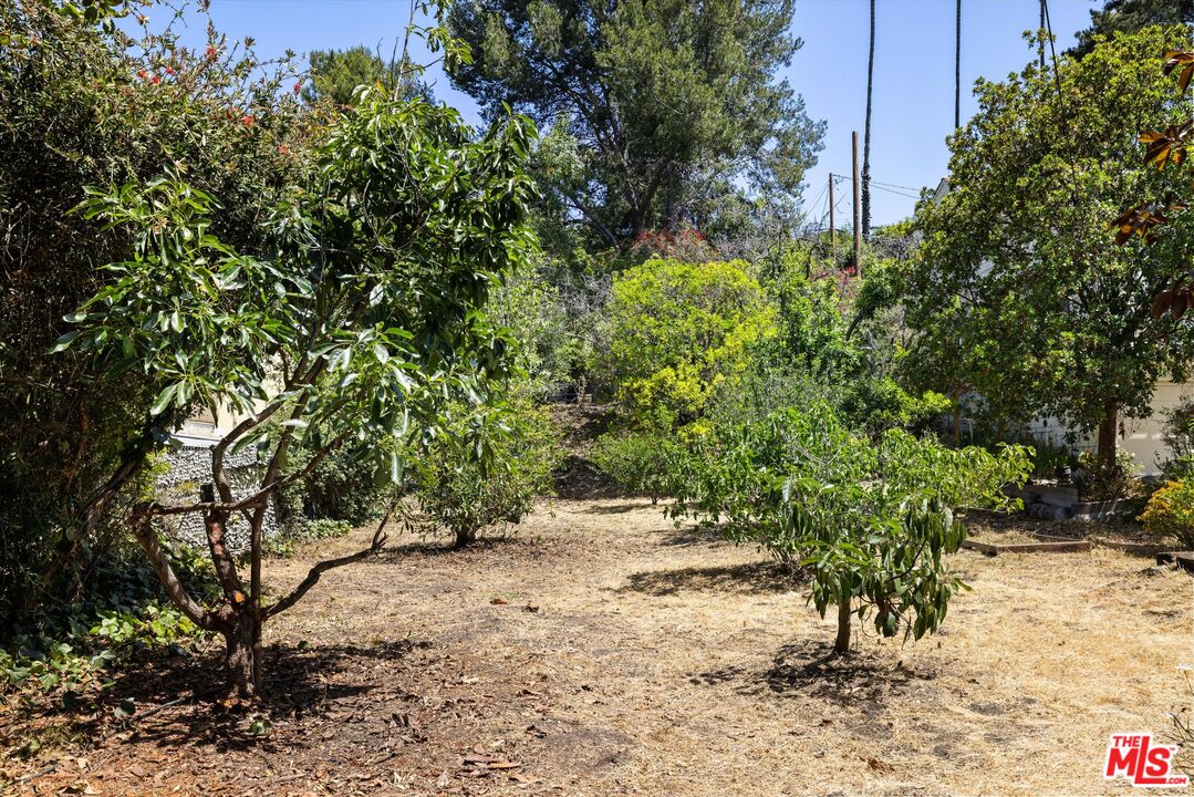 819 Cheltenham Road Santa Barbara, CA 93105 - Photo 3 of 6 a view of a yard with plants and trees