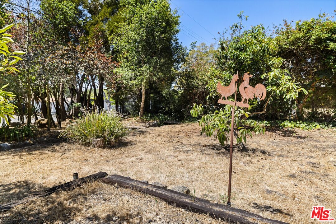 819 Cheltenham Road Santa Barbara, CA 93105 - Photo 4 of 6 a view of a yard with trees