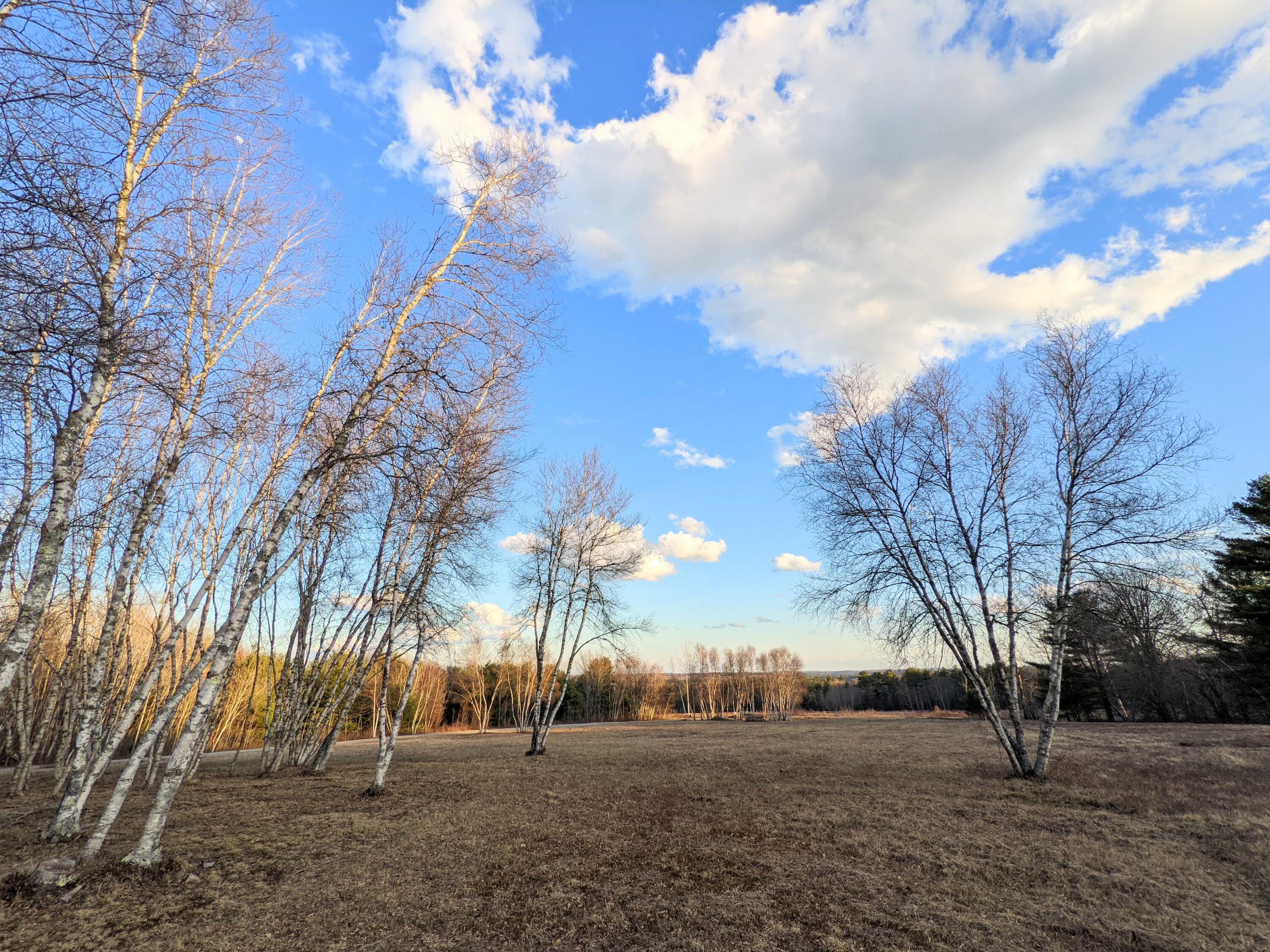 field