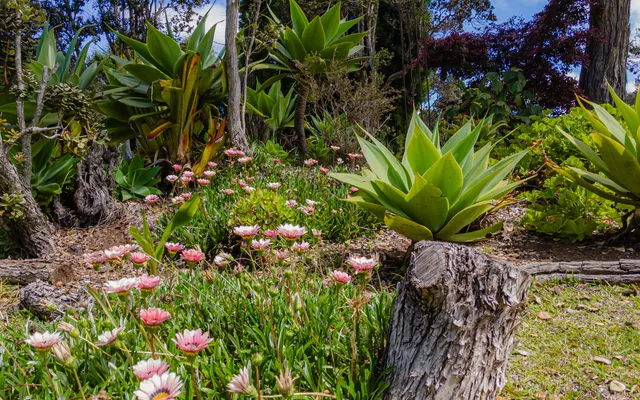 $739,000 | 99-1798 Painiu Loop, Volcano, HI 96785