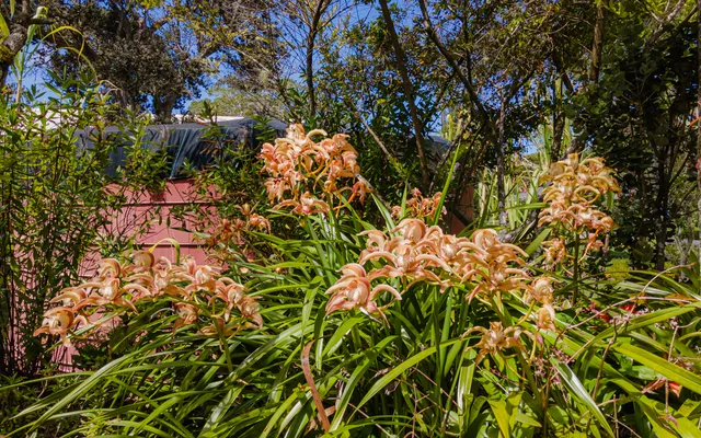 $739,000 | 99-1798 Painiu Loop, Volcano, HI 96785