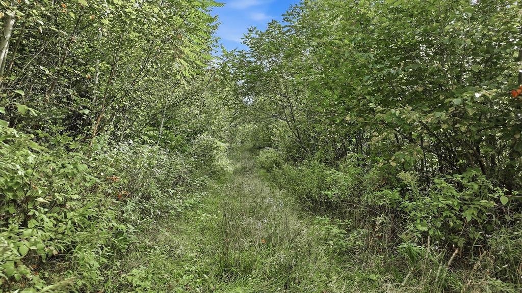 0 Behnke Road Iola, WI 54945 - Photo 21 of 42 Gallery Image 21