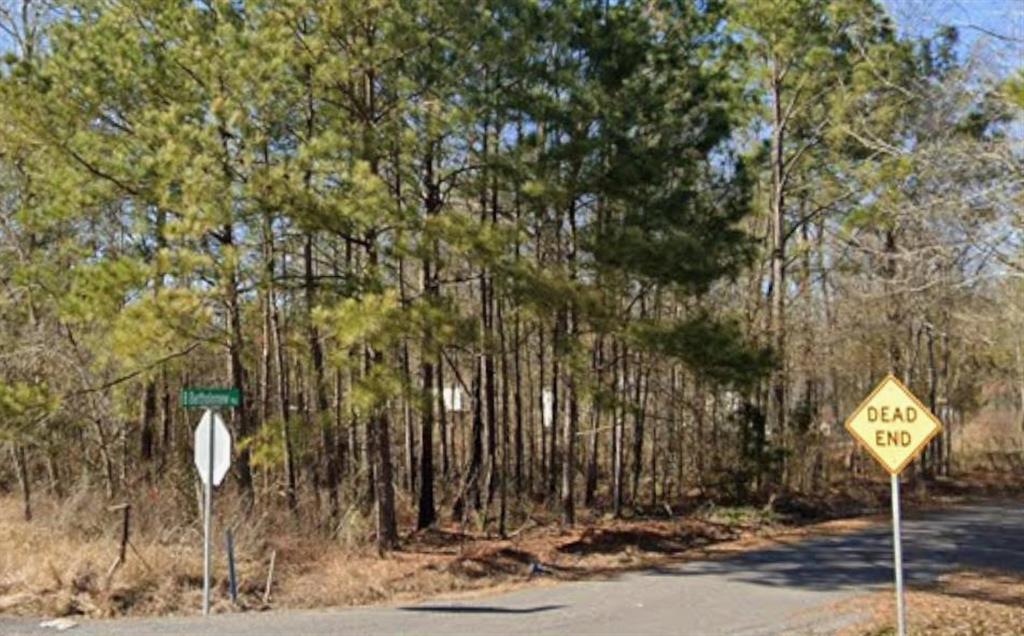 Tbd Fannie Verdine Road Starks, LA 70661 - Photo 1 of 4 Gallery Image 1