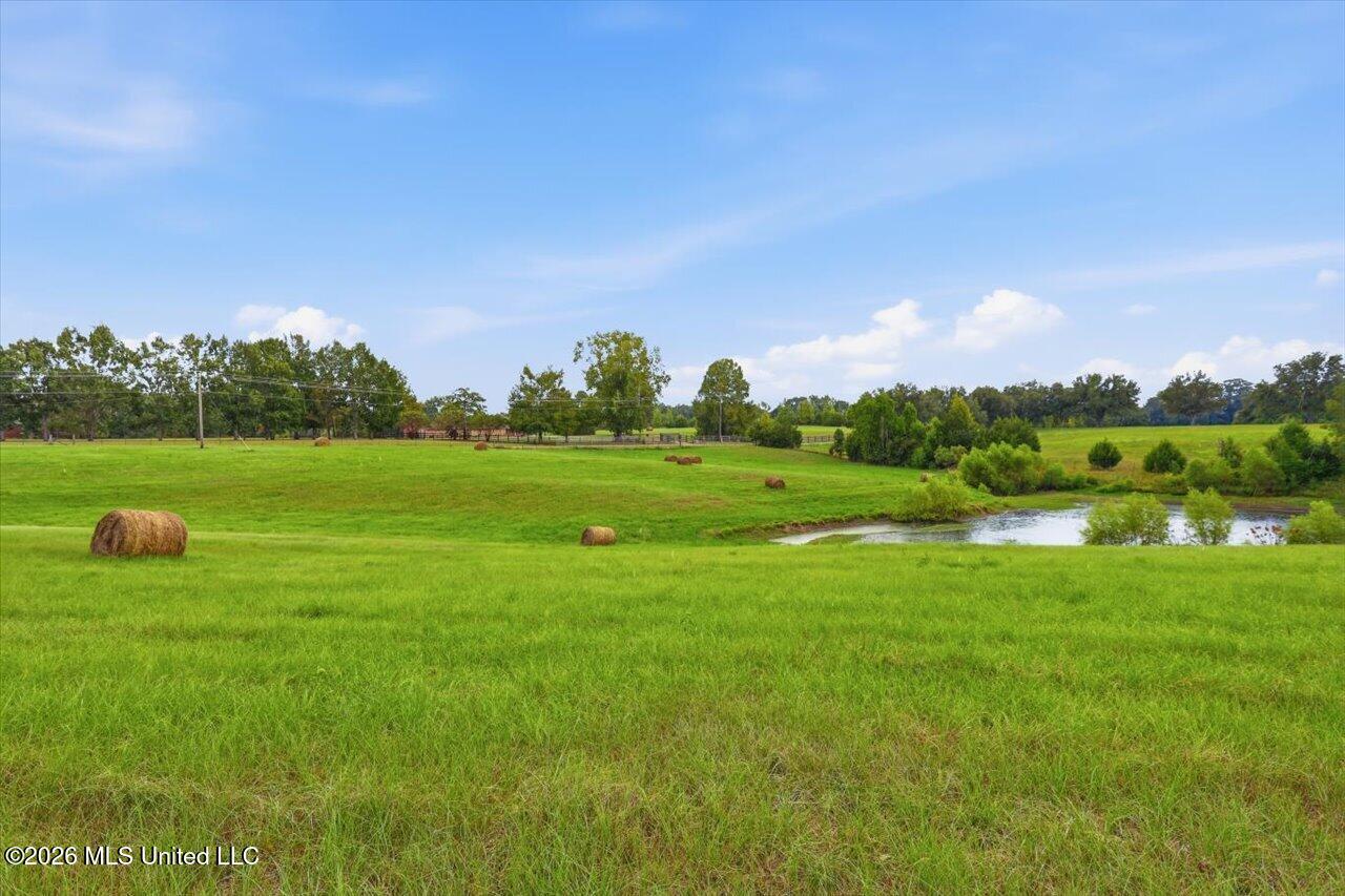 1124 Perrett Road Hazlehurst, MS 39083 - Photo 8 of 77 1124 Perrett Rd - pond