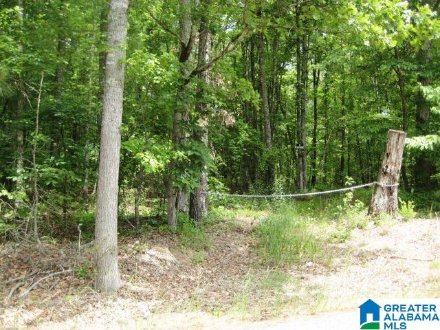 0 Sulphur Springs Road, Unit 10 ACRES Lincoln, AL 35096 - Photo 13 of 32