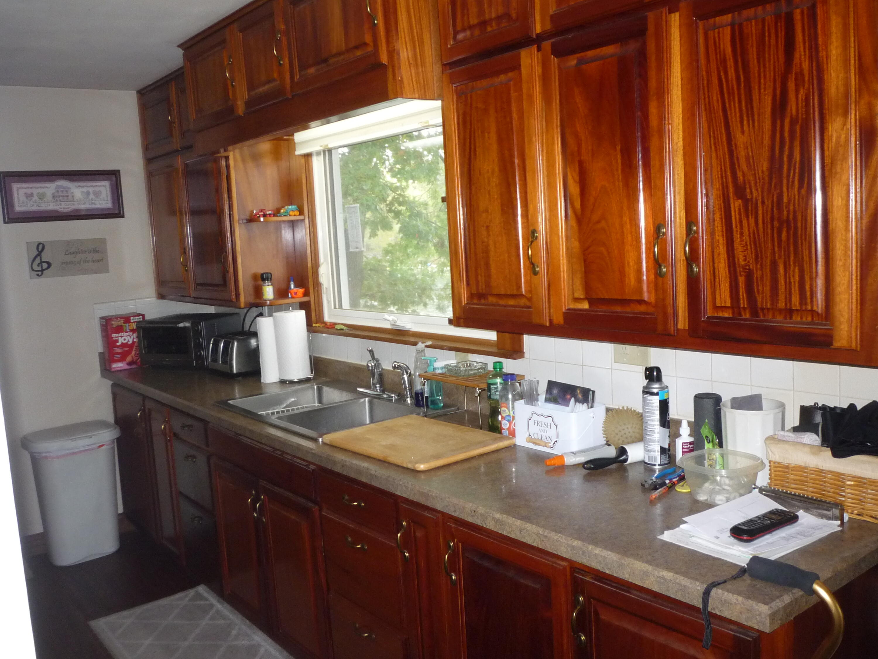 828 Shawnee Beach Road Bronson, MI 49028 - Photo 14 of 54 P1080417