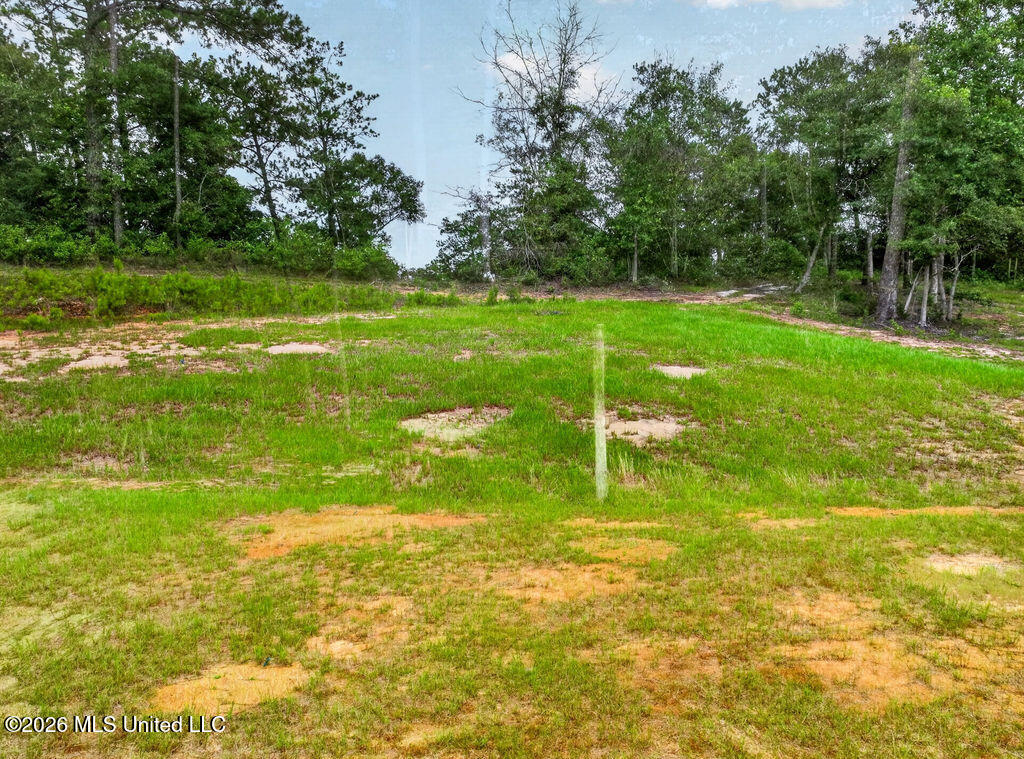 94 Desoto Road McHenry, MS 39561 - Photo 34 of 37 94DesotoRd.S-34