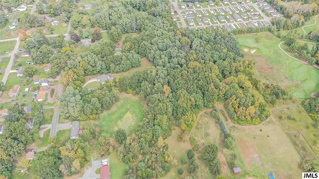 V/l South Draper Road, Unit 4700 BLOCK S DRAPER ROAD Jackson, MI 49201 - Photo 9 of 16 Photo 9