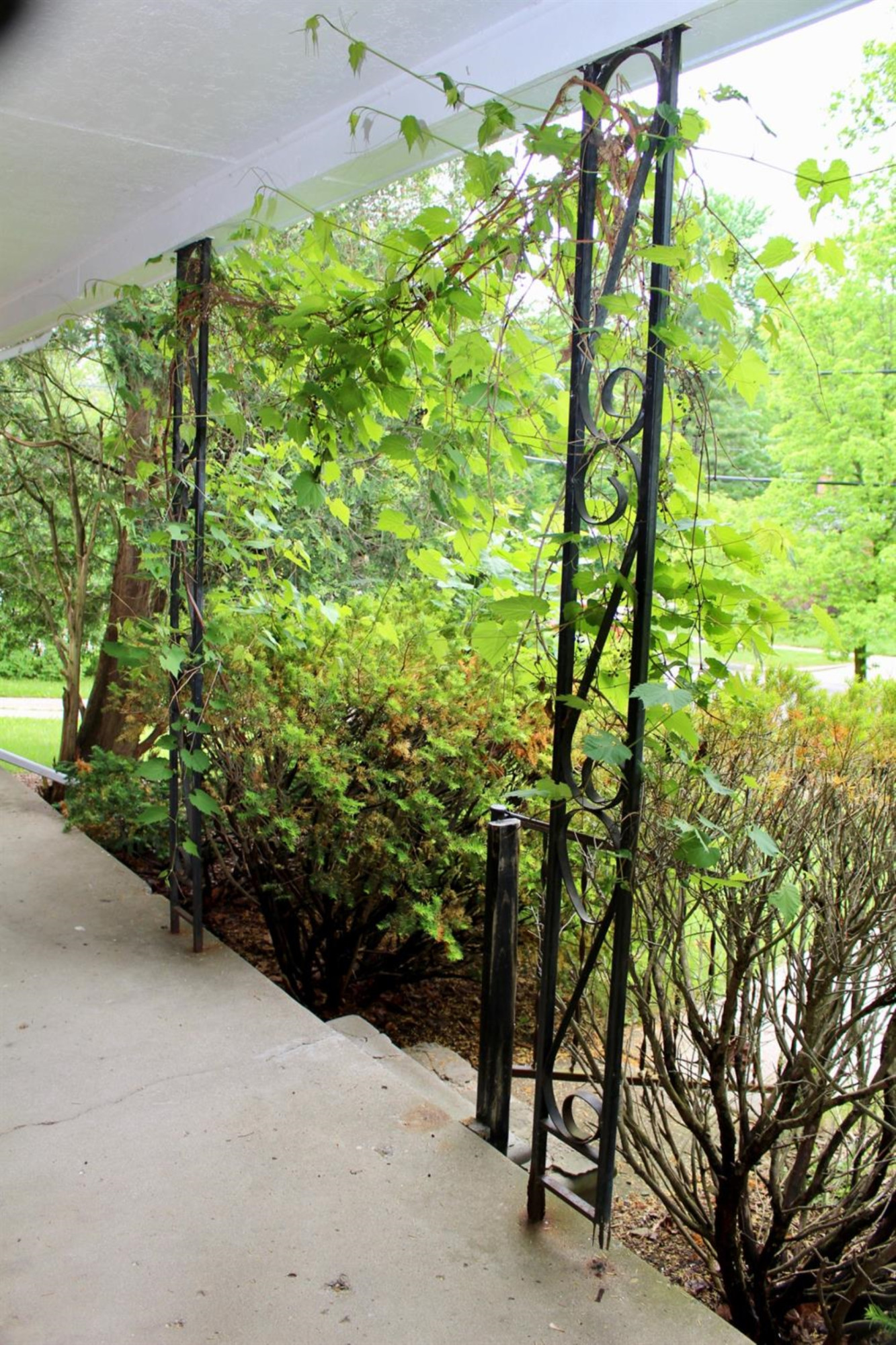 2416 Medford Road Ann Arbor, MI 48104 - Photo 24 of 33 Photo 24