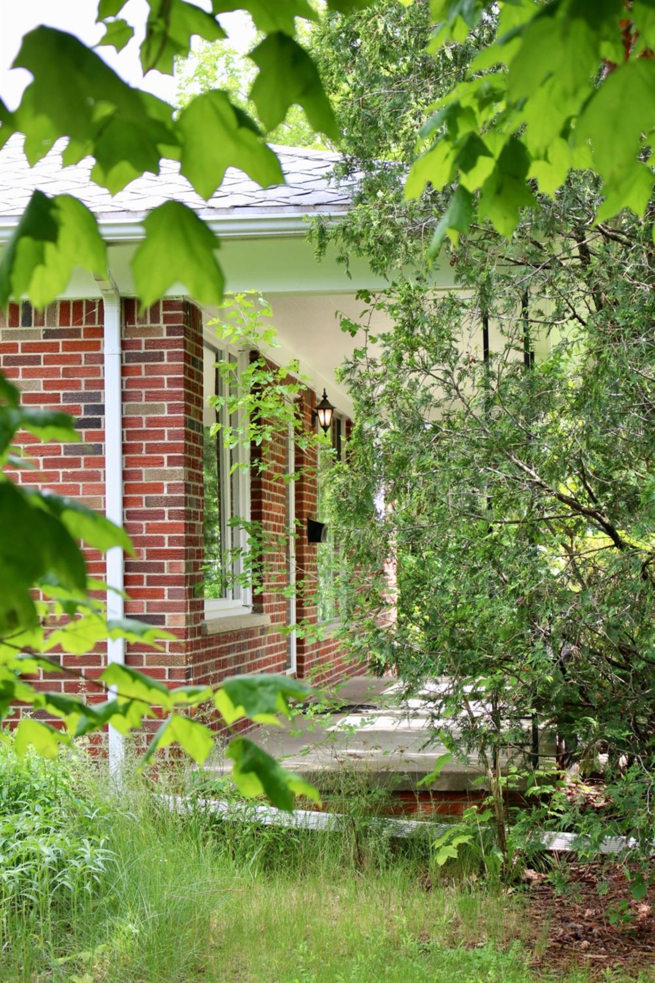 2416 Medford Road Ann Arbor, MI 48104 - Photo 25 of 33 Photo 25