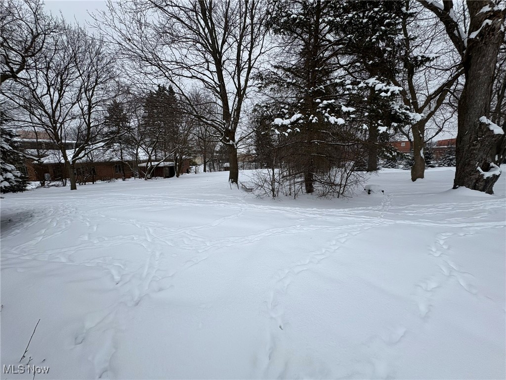 View of yard covered in snow