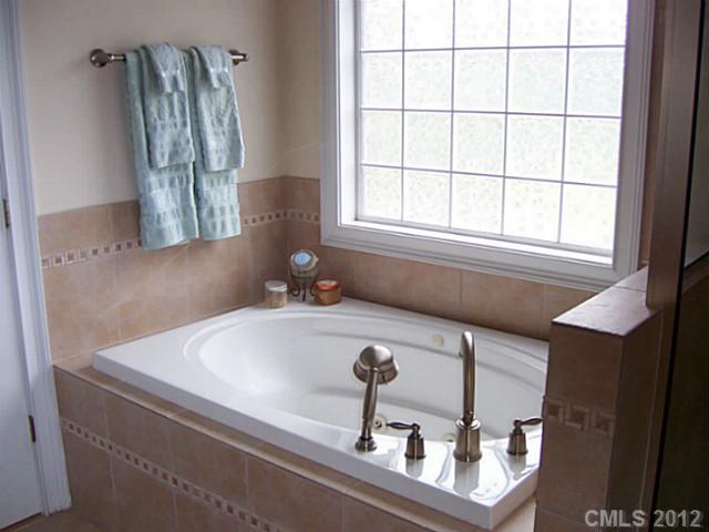 581 Mason Dickson Road York, SC 29745 - Photo 8 of 16 a bathroom with a bathtub and next to a window