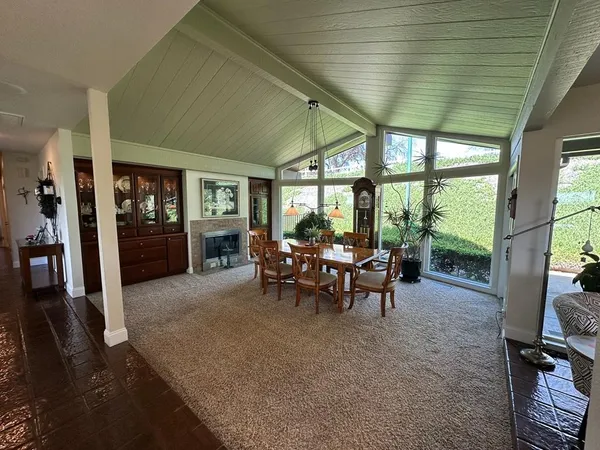 a living room with furniture a potted plant and a rug