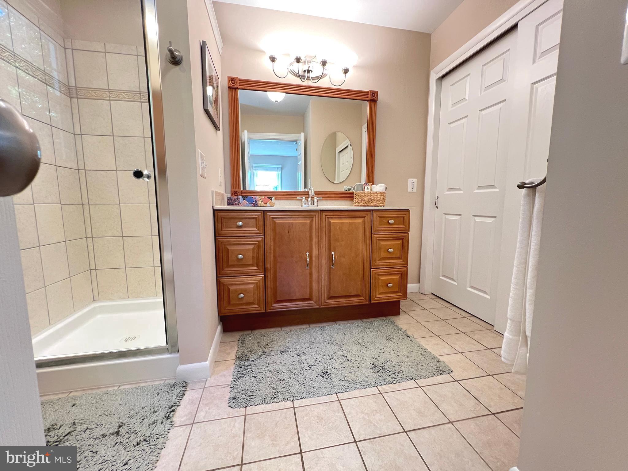 1027 Hart Road Baltimore, MD 21286 - Photo 46 of 94 a bathroom with a sink a mirror and a shower