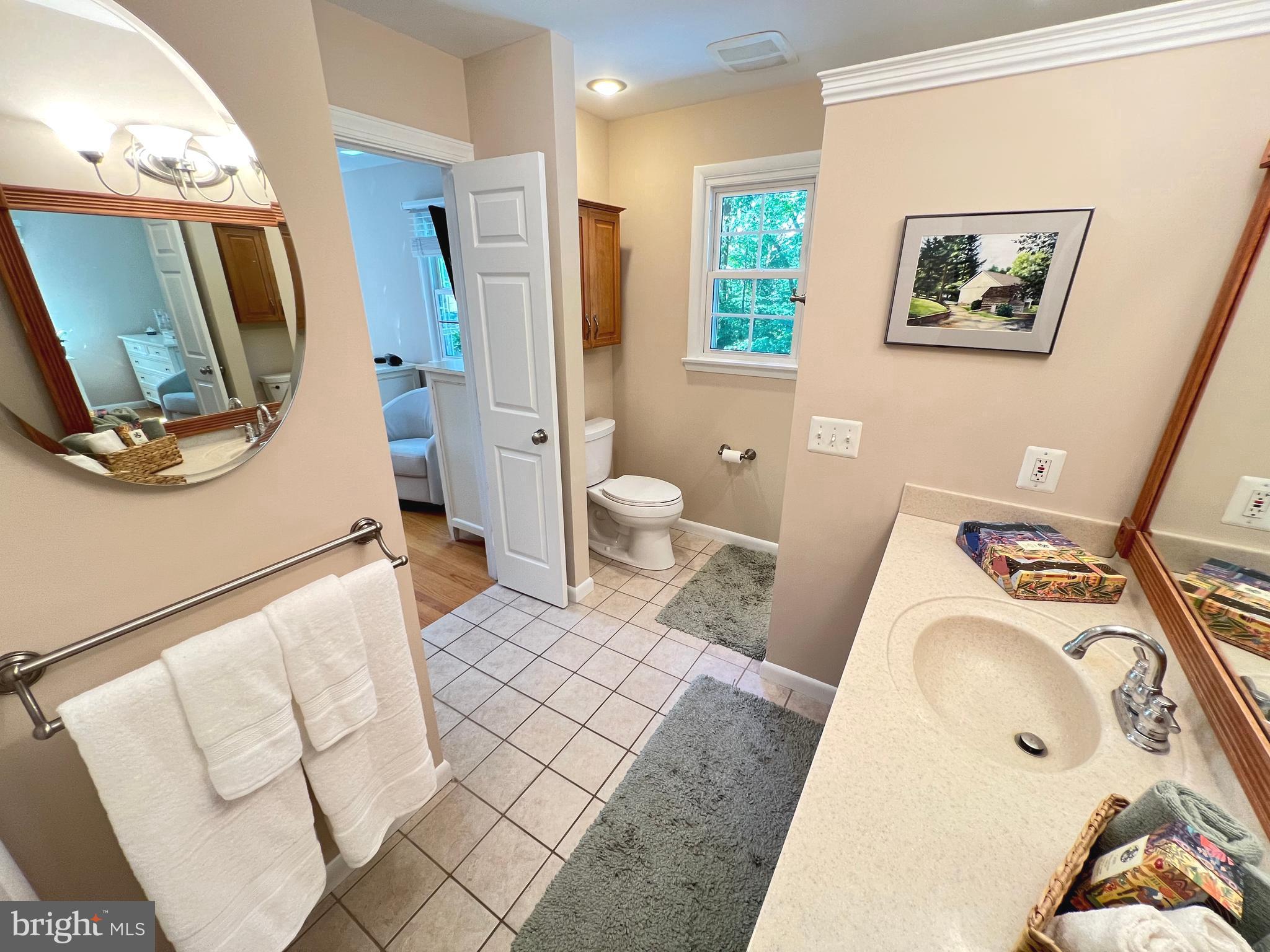 1027 Hart Road Baltimore, MD 21286 - Photo 48 of 94 a bathroom with a toilet sink and mirror