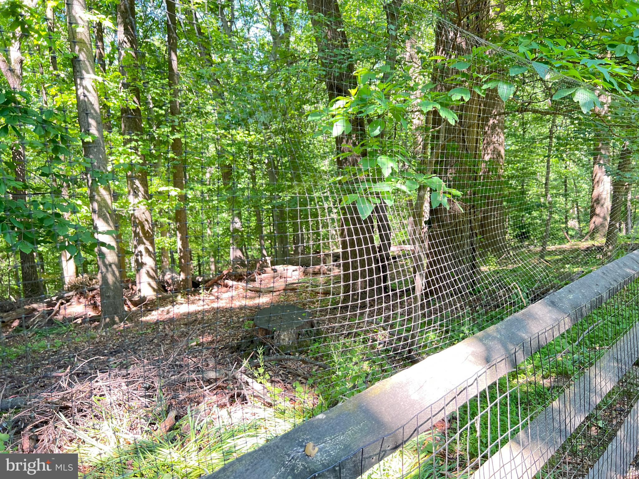 1027 Hart Road Baltimore, MD 21286 - Photo 74 of 94 Dear fence, please keep the deer...out. :)
