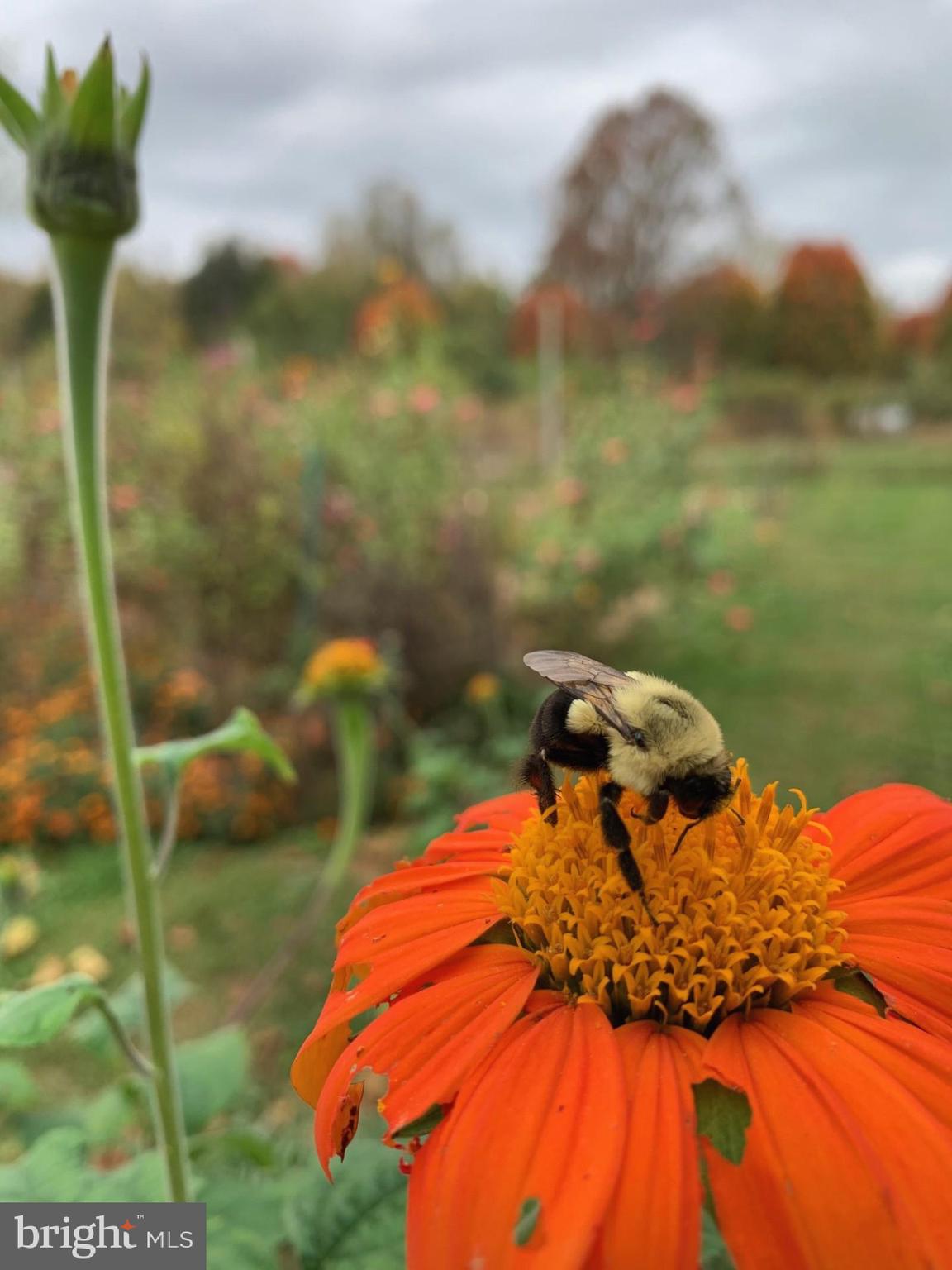 1027 Hart Road Baltimore, MD 21286 - Photo 84 of 94