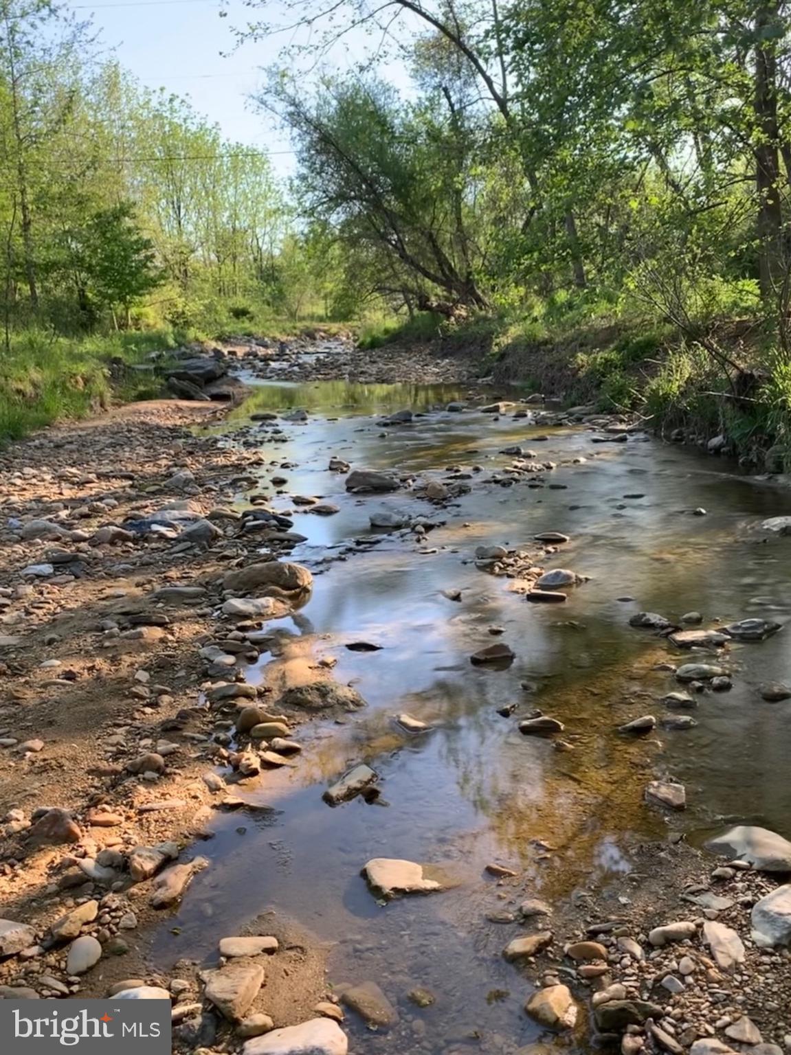1027 Hart Road Baltimore, MD 21286 - Photo 89 of 94 The magic of a stream & all that rely on it.