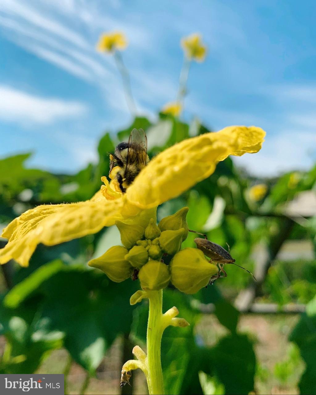 1027 Hart Road Baltimore, MD 21286 - Photo 90 of 94