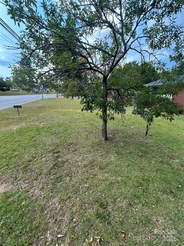 a view of yard with tree