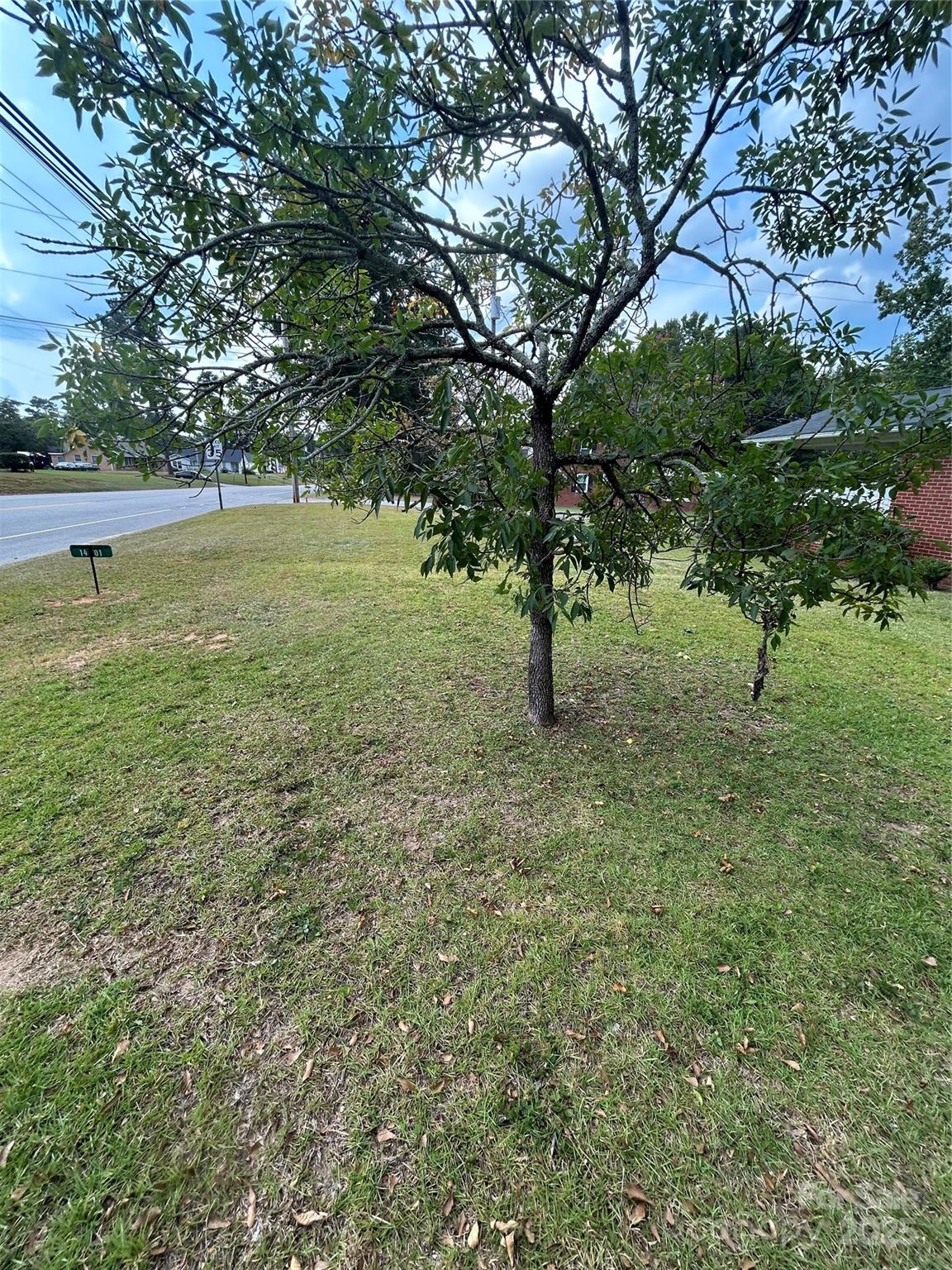1401 Morven Road Wadesboro, NC 28170 - Photo 22 of 27 a view of yard with tree