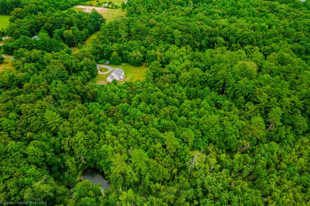 30 Wordell Street Rochester, MA 02770 - Photo 6 of 31 a view of a lush green forest