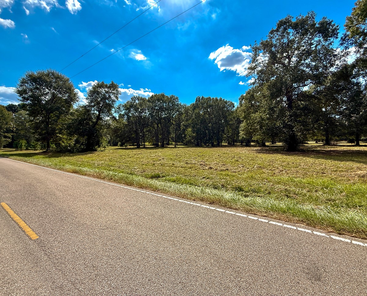 0 Mt Zion Road New Waverly, TX 77358 - Photo 11 of 17 a view of a swimming pool with an outdoor space and seating area