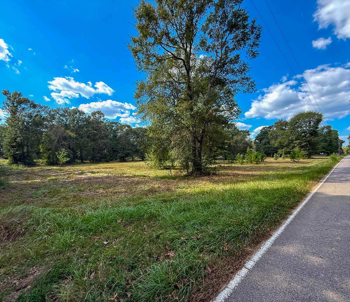 0 Mt Zion Road New Waverly, TX 77358 - Photo 12 of 17