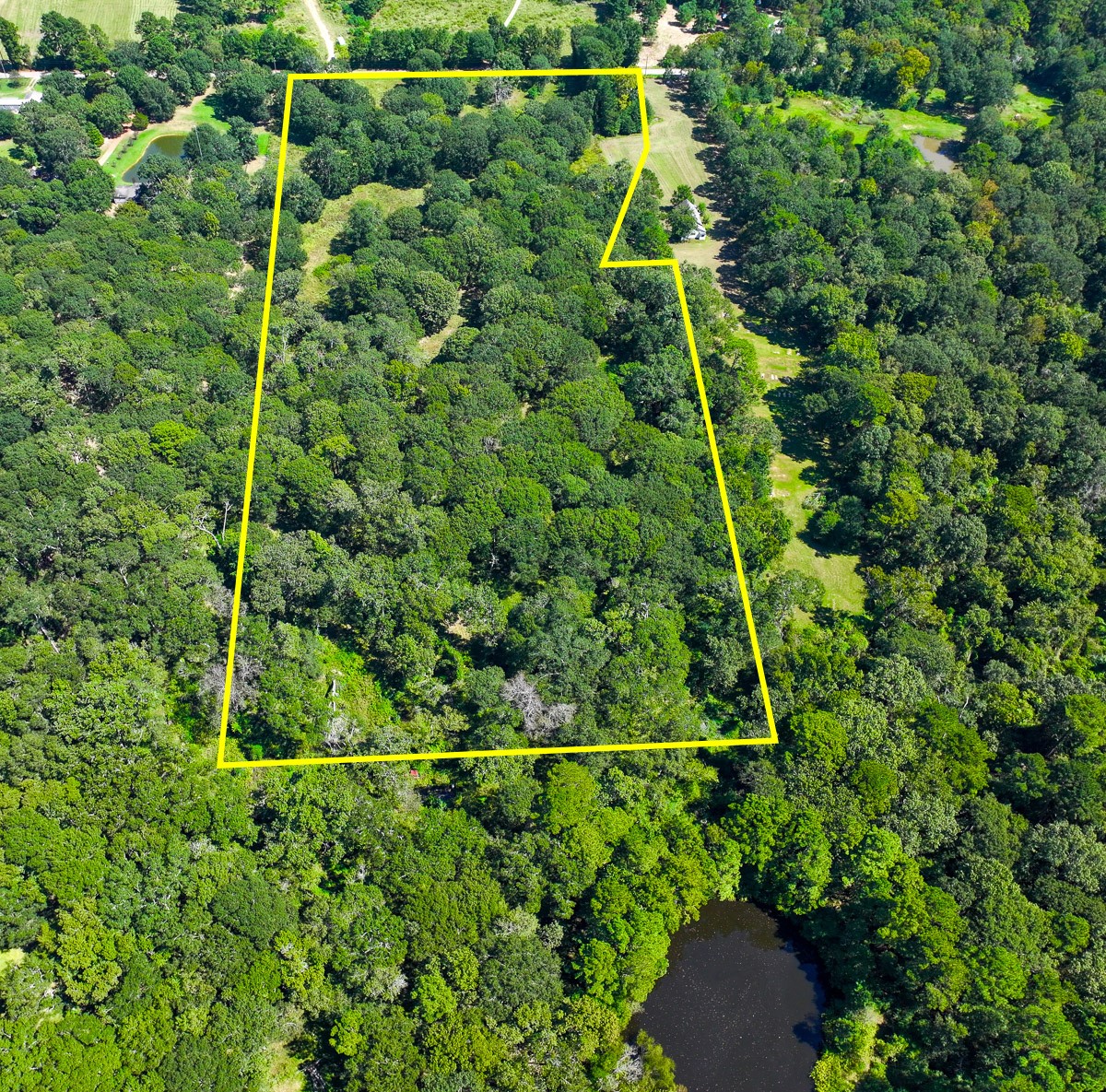 0 Mt Zion Road New Waverly, TX 77358 - Photo 14 of 17 a view of a yard with a plant