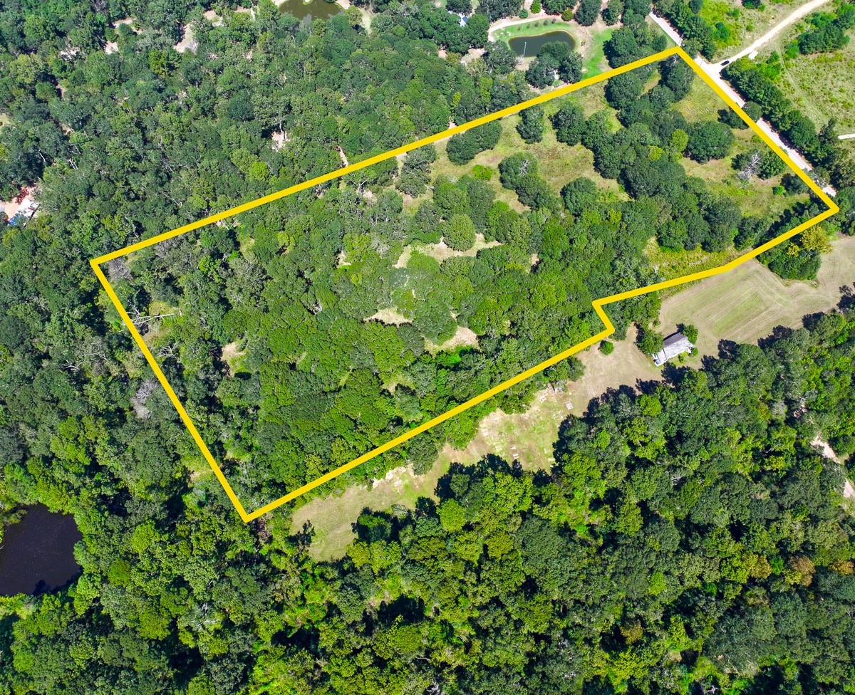 0 Mt Zion Road New Waverly, TX 77358 - Photo 17 of 17 a green field with lots of trees in the background