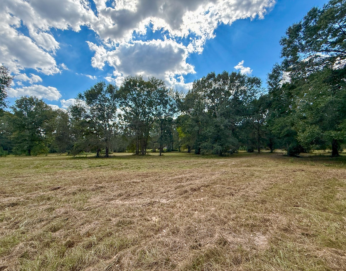 0 Mt Zion Road New Waverly, TX 77358 - Photo 4 of 17 a view of a field with trees