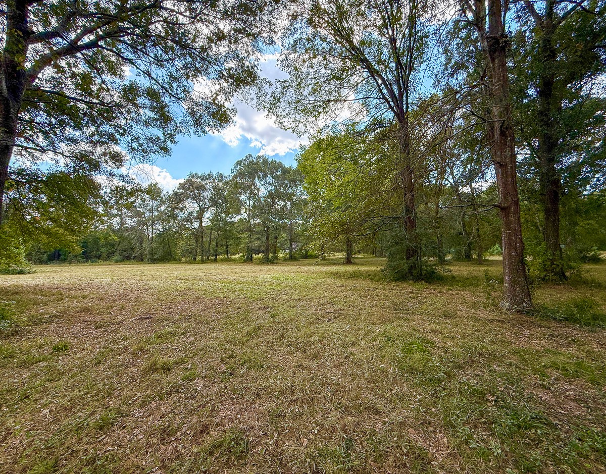 0 Mt Zion Road New Waverly, TX 77358 - Photo 5 of 17 a view of outdoor space with deck and yard