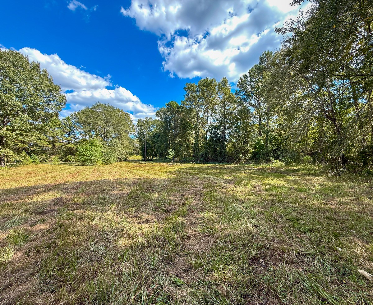 0 Mt Zion Road New Waverly, TX 77358 - Photo 9 of 17 a view of outdoor space and yard