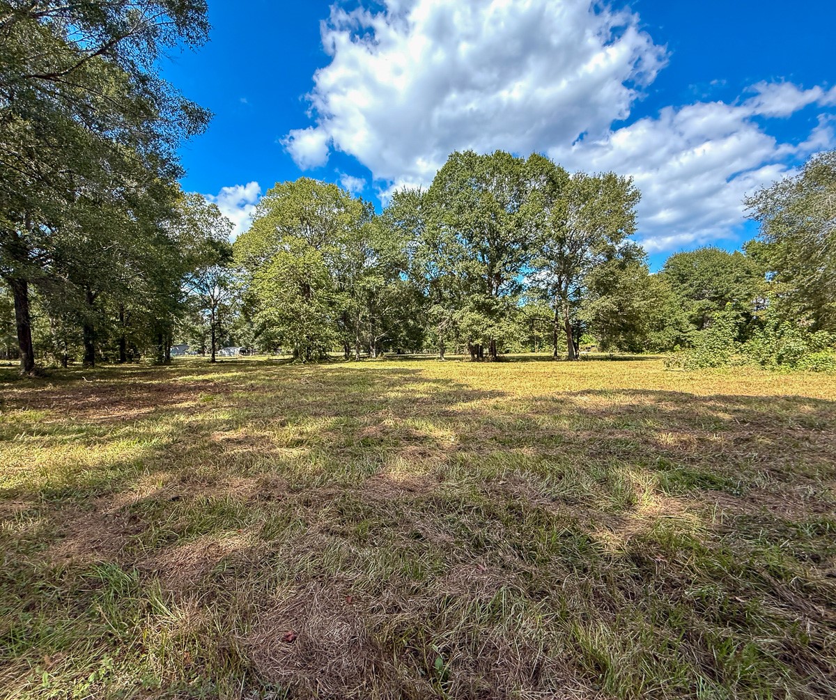 0 Mt Zion Road New Waverly, TX 77358 - Photo 10 of 17 a view of a green field