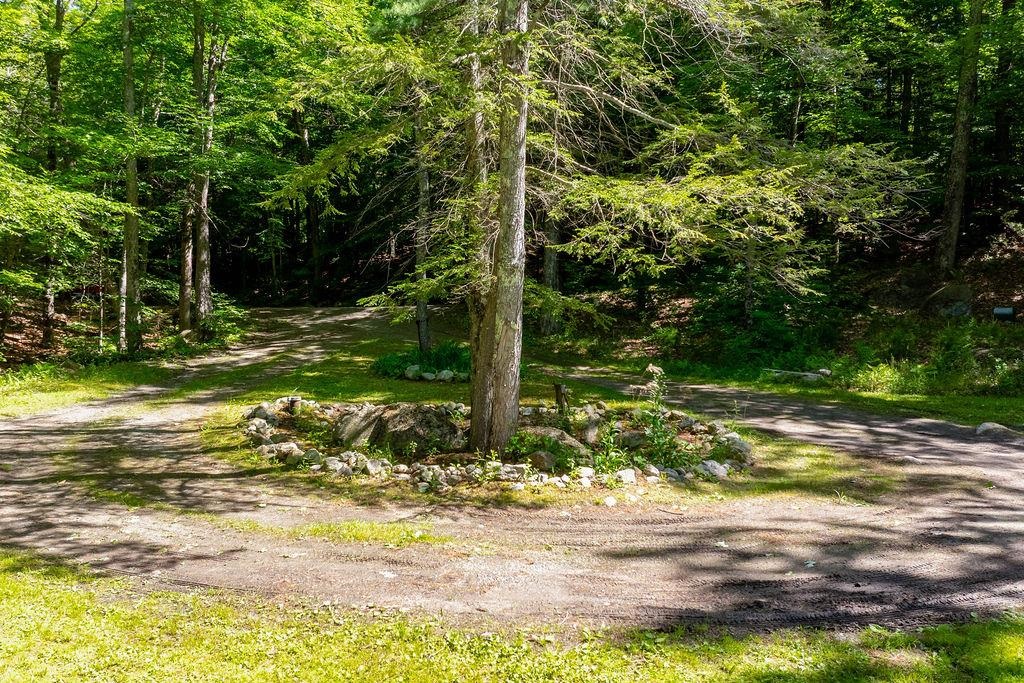 49-51 Northshore Road Sunapee, NH 03782 - Photo 10 of 16