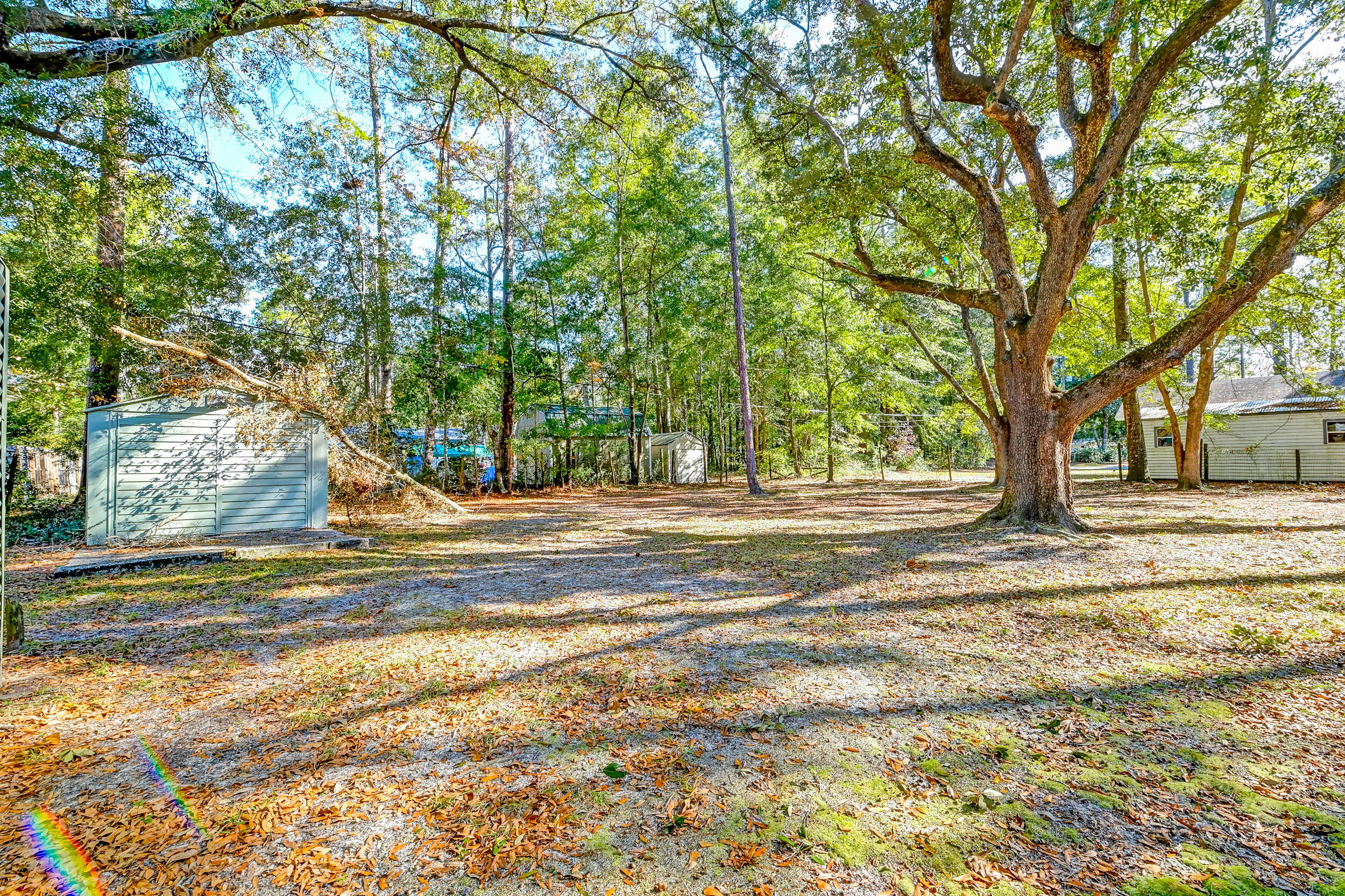506 Forest Hills Road Walterboro, SC 29488 - Photo 46 of 50 DSC_9545_6_7_8_9