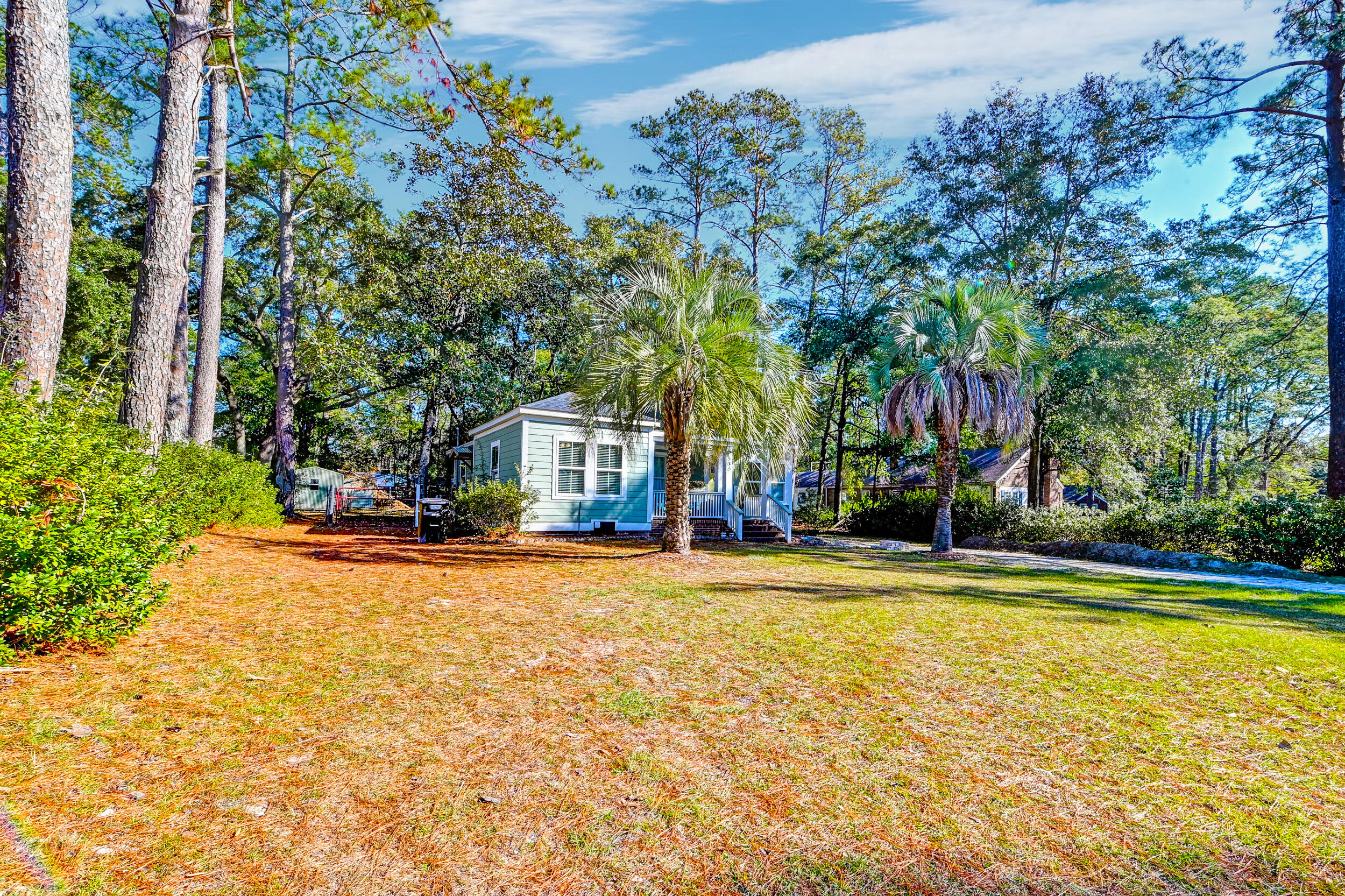506 Forest Hills Road Walterboro, SC 29488 - Photo 47 of 50 DSC_9490_1_2_3_4