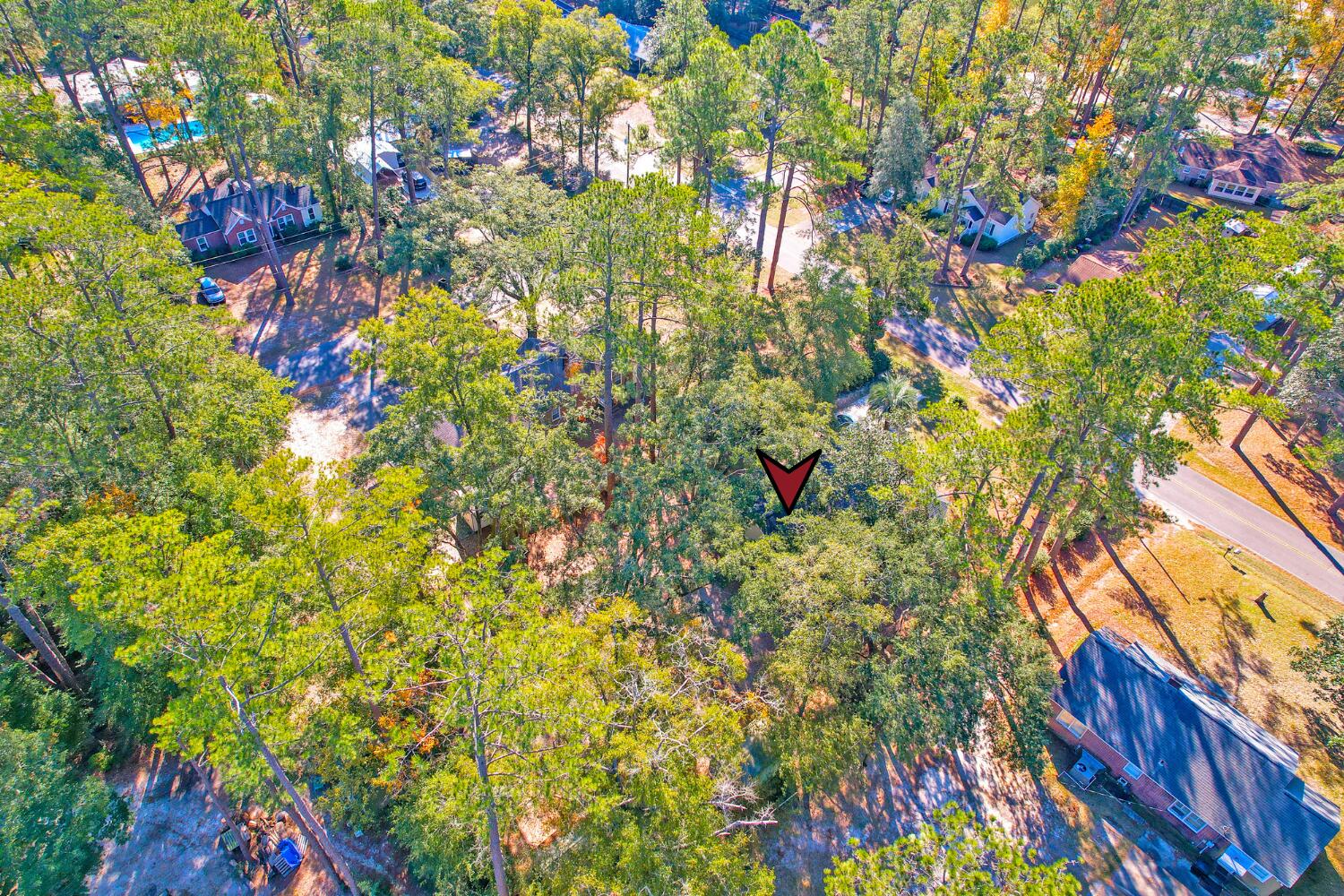 506 Forest Hills Road Walterboro, SC 29488 - Photo 48 of 50 2