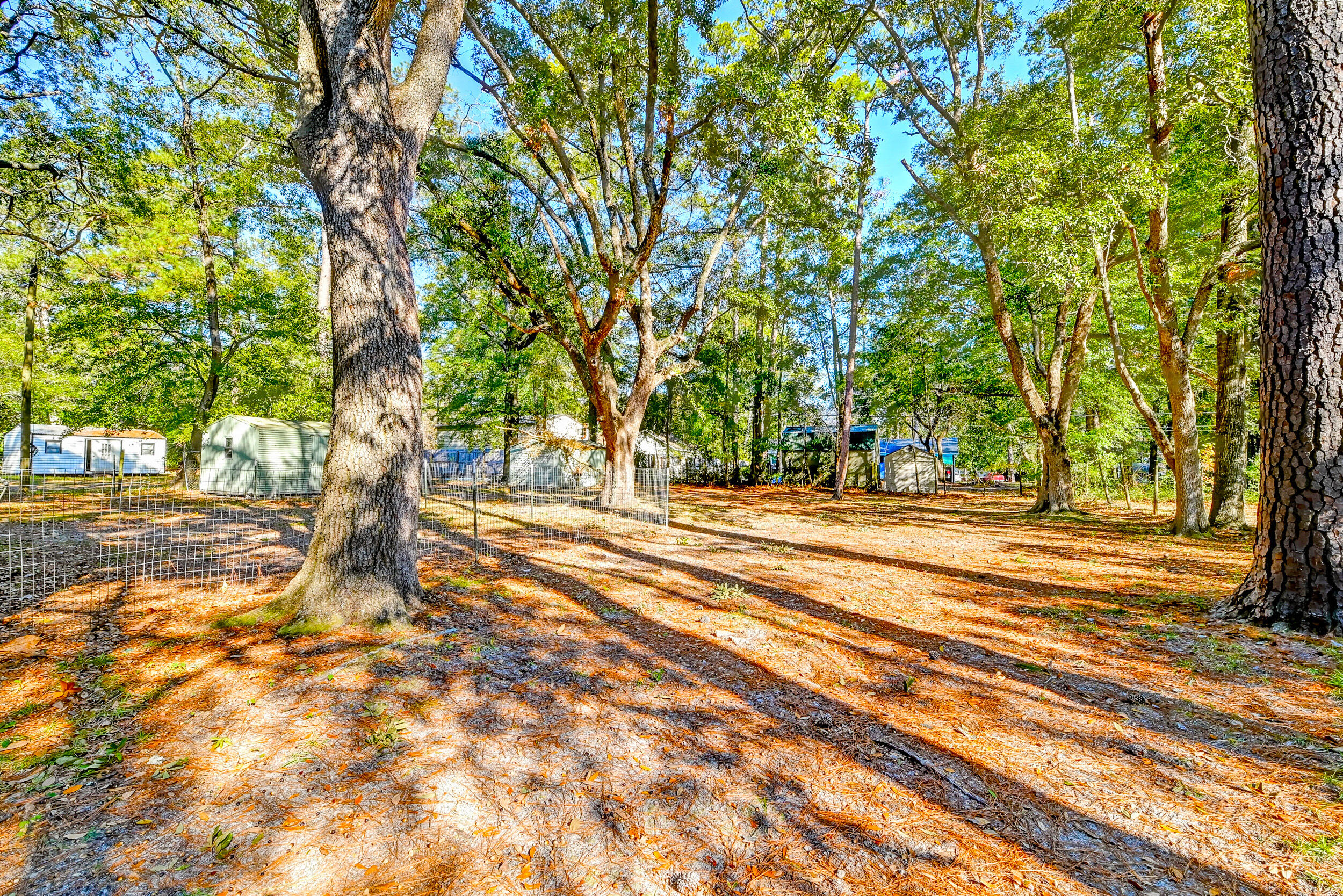 506 Forest Hills Road Walterboro, SC 29488 - Photo 7 of 50 DSC_9505_6_7_8_9