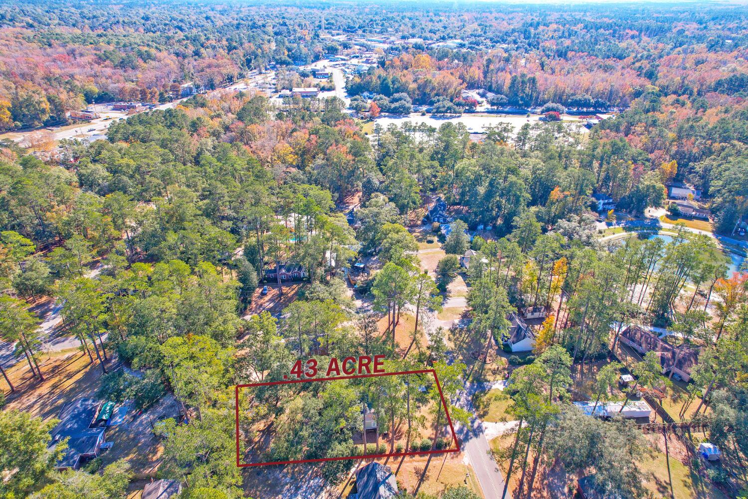 506 Forest Hills Road Walterboro, SC 29488 - Photo 10 of 50 6