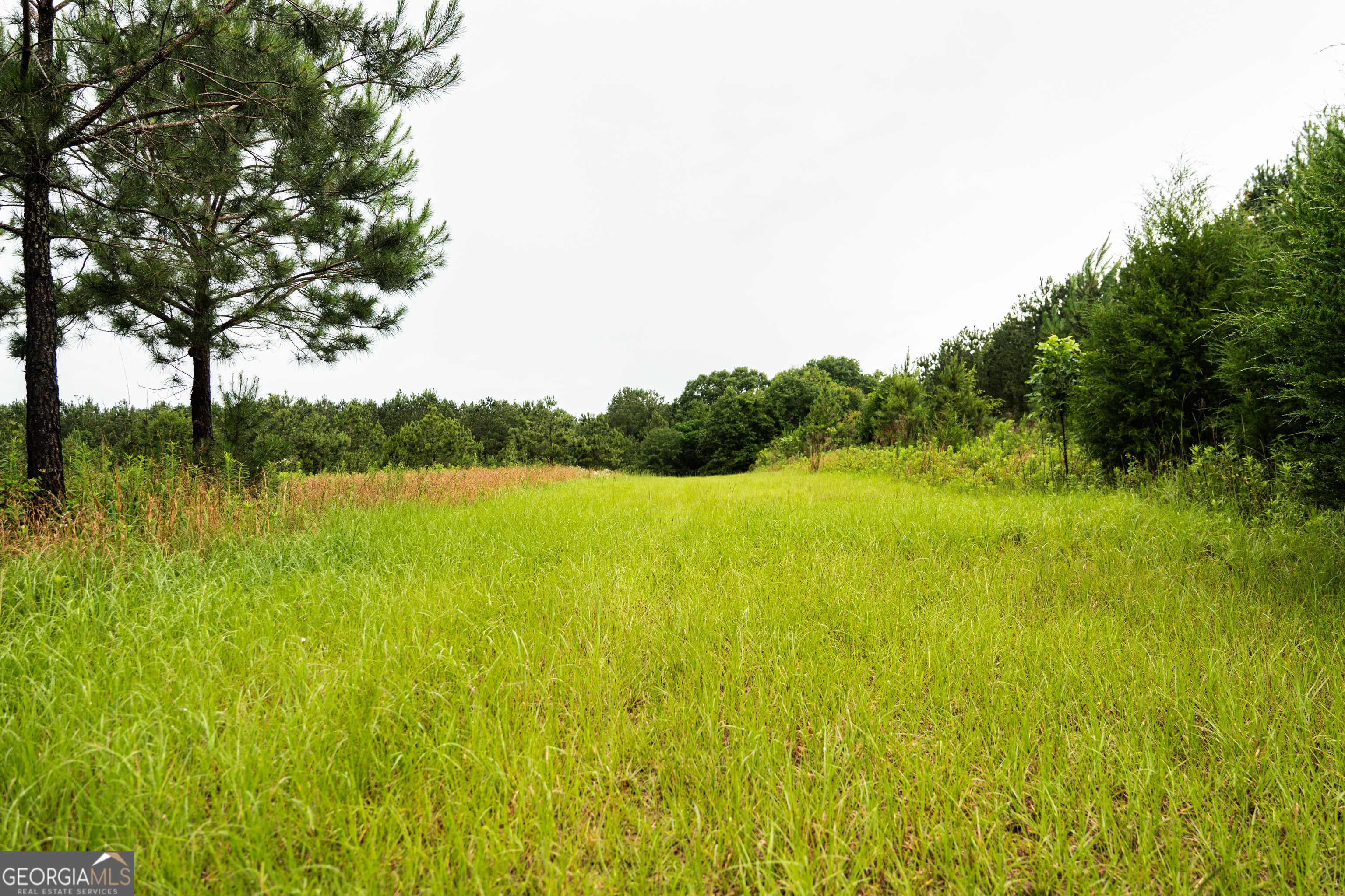 990 Highway 49 Americus, GA 31719 - Photo 48 of 121