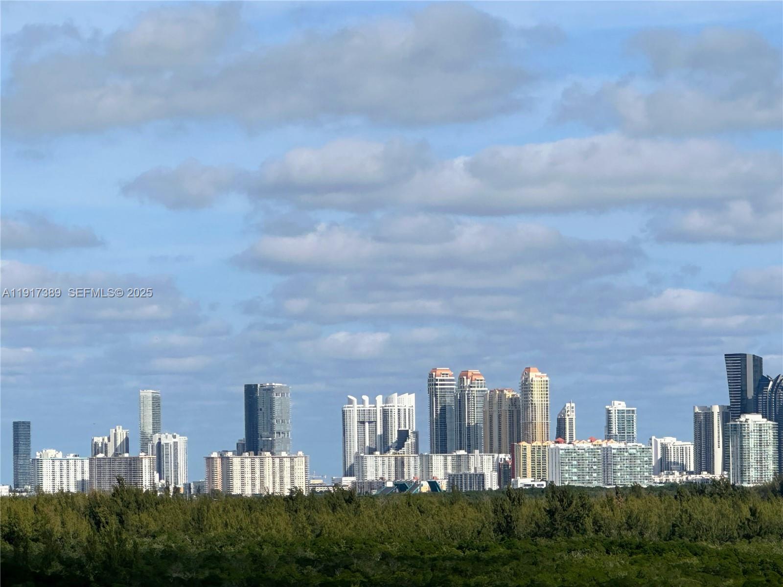 2350 Northeast 135th Street, Unit 1501 North Miami, FL 33181 - Photo 12 of 13 a city view with tall buildings and a big yard